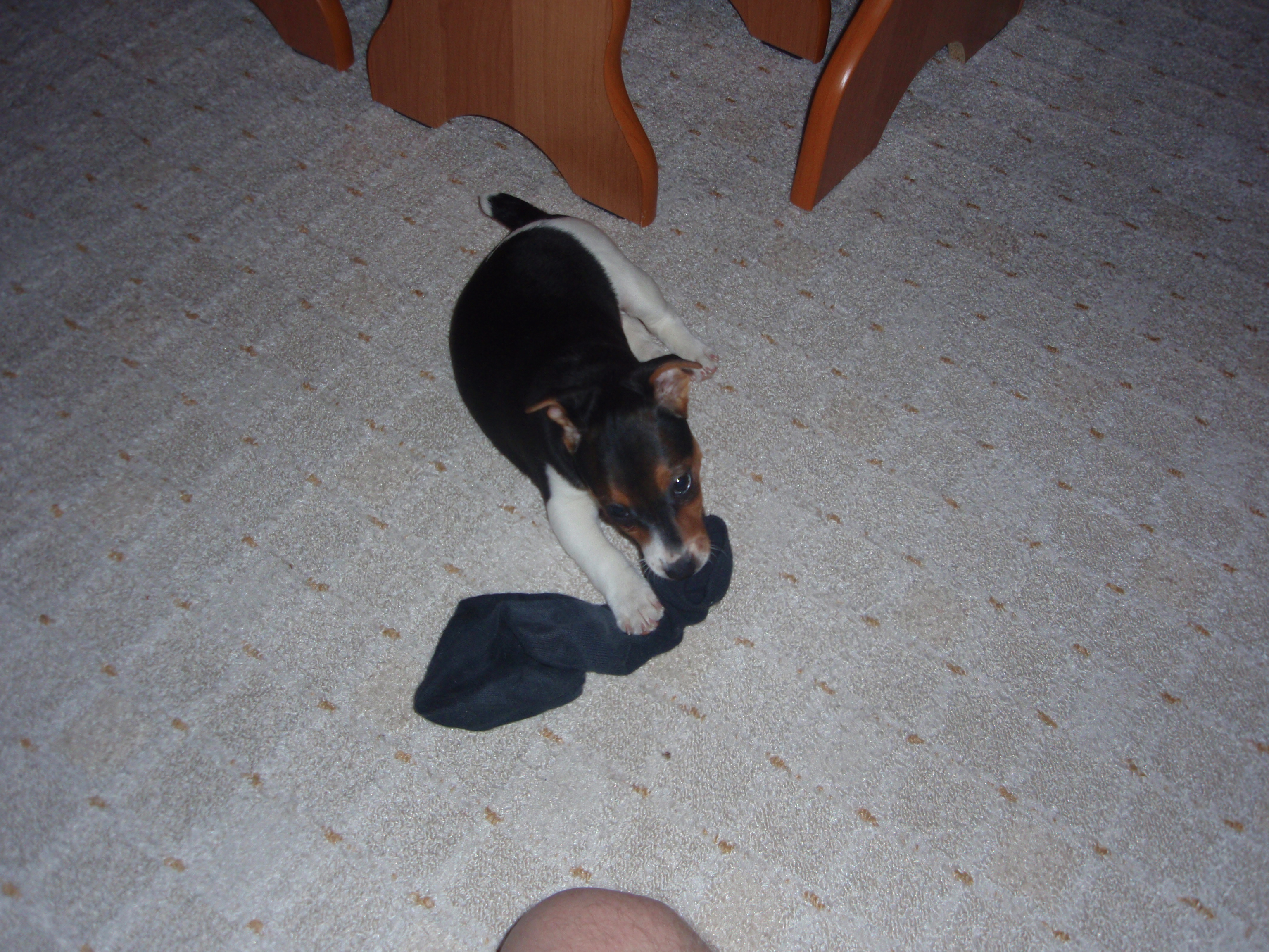 P2020241.jpg